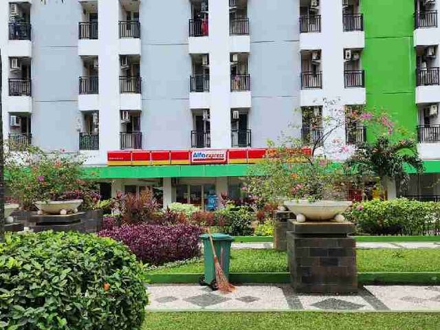 place photo 17