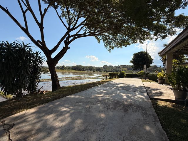 place photo 52