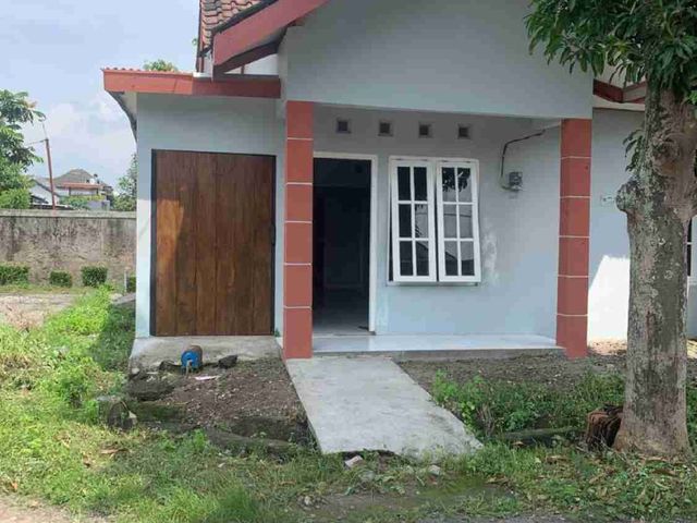place photo 8