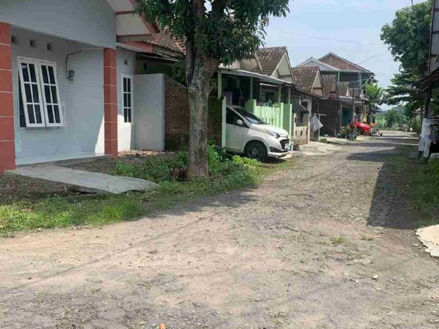 place photo 13