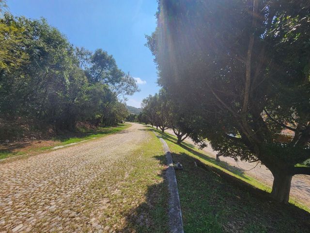place photo 45