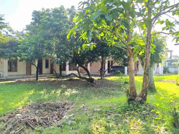 place photo 16
