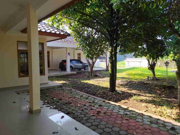 place photo 20