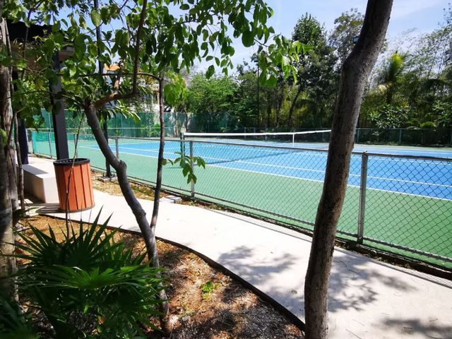 place photo 28