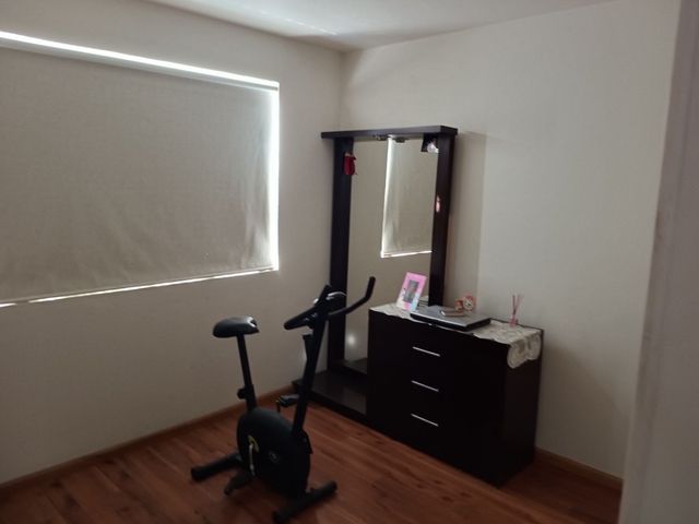 place photo 50