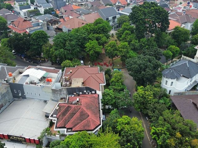 place photo 27