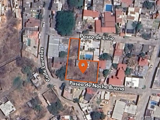 place photo 7