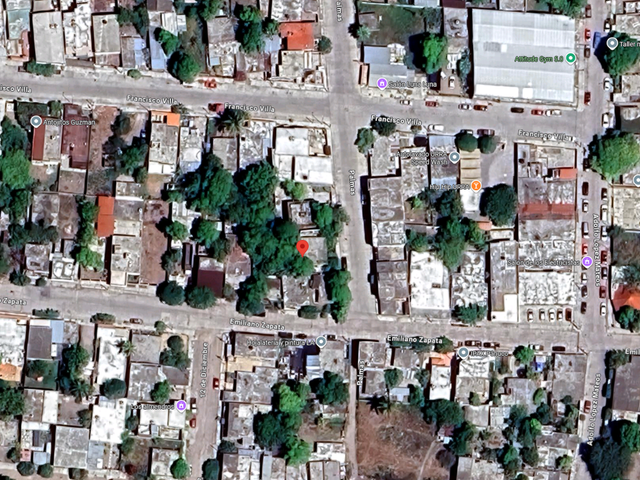 place photo 8