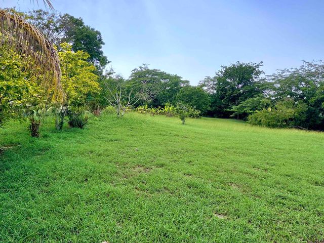 place photo 26