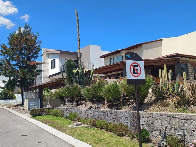 place photo 53
