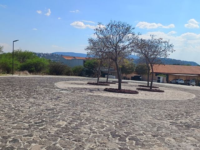 place photo 57