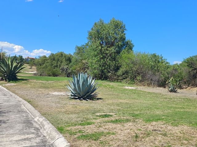 place photo 63