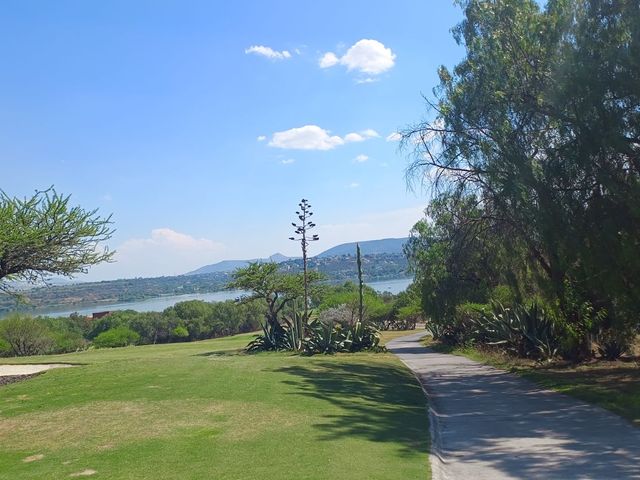 place photo 71