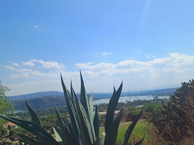 place photo 83