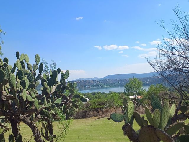place photo 86