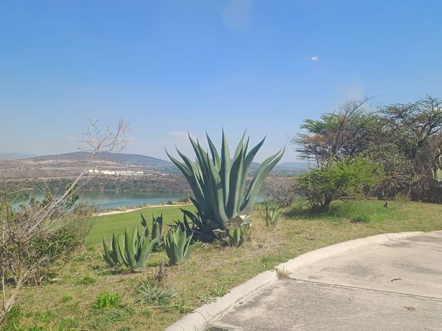 place photo 99