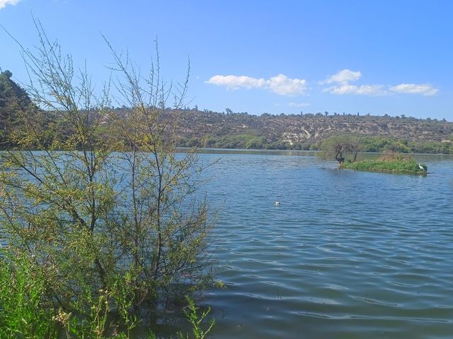 place photo 128