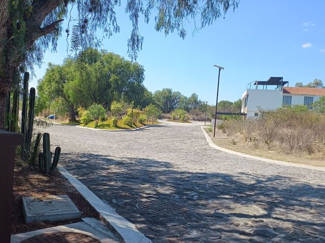 place photo 37