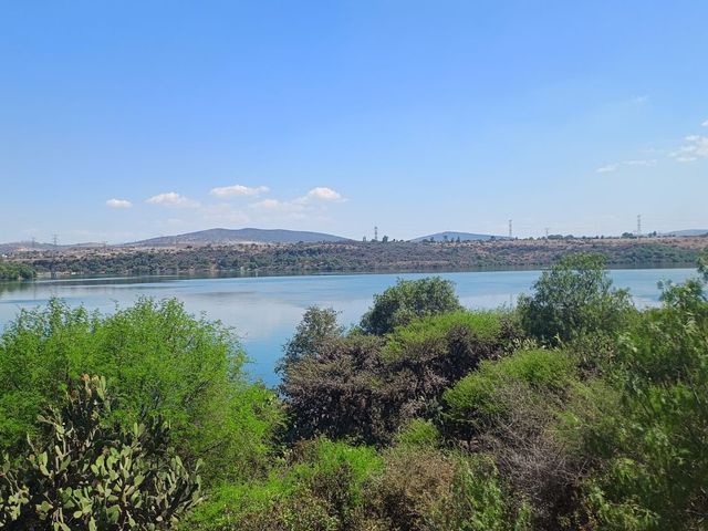 place photo 30