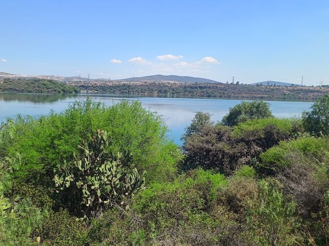 place photo 31