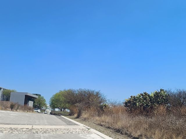 place photo 35