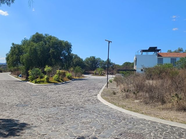 place photo 40
