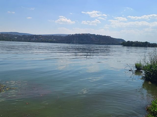 place photo 46