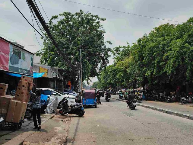 place photo 11