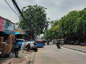 place photo 11