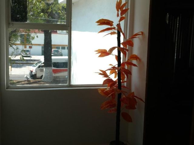 place photo 61
