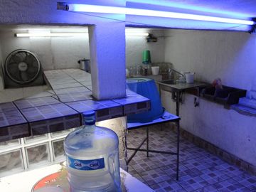 place photo 27
