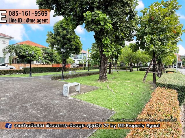 place photo 35