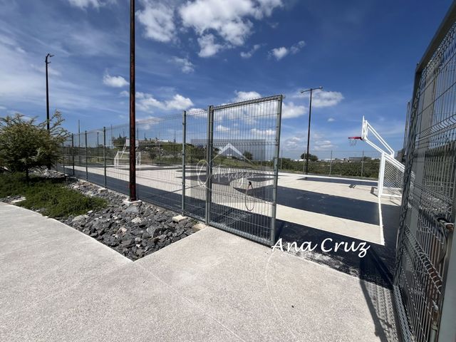place photo 66
