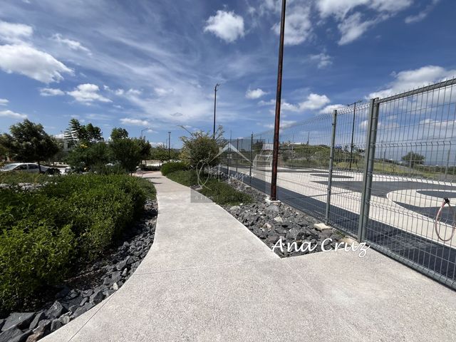 place photo 67