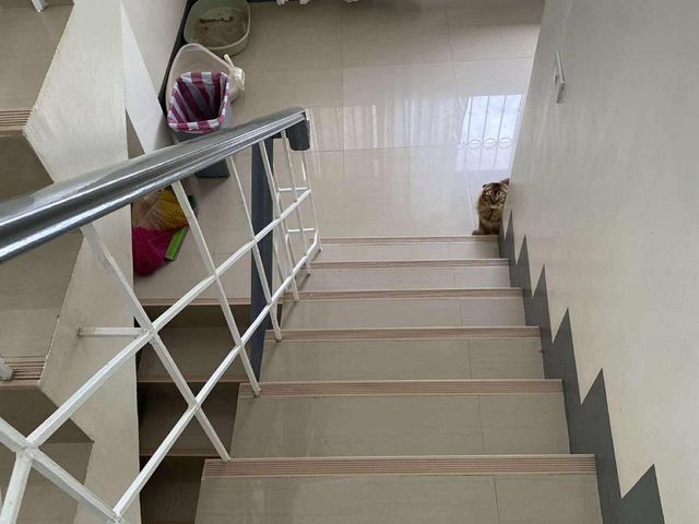 place photo 37