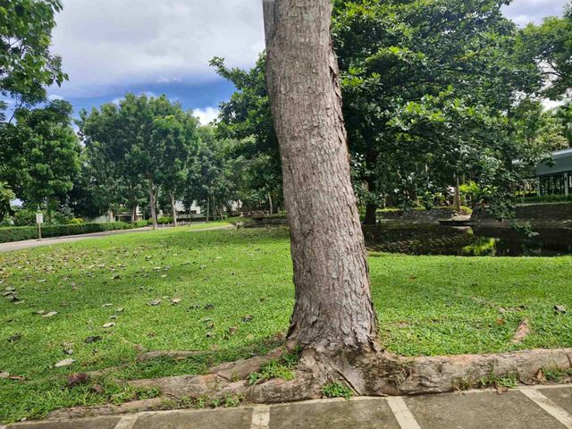 place photo 31
