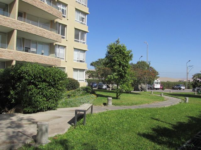 place photo 30