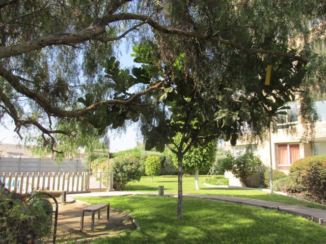 place photo 32