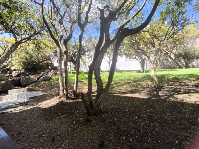 place photo 83