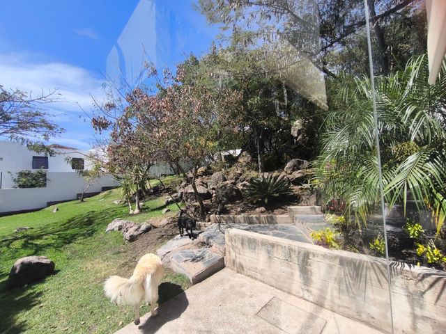 place photo 72