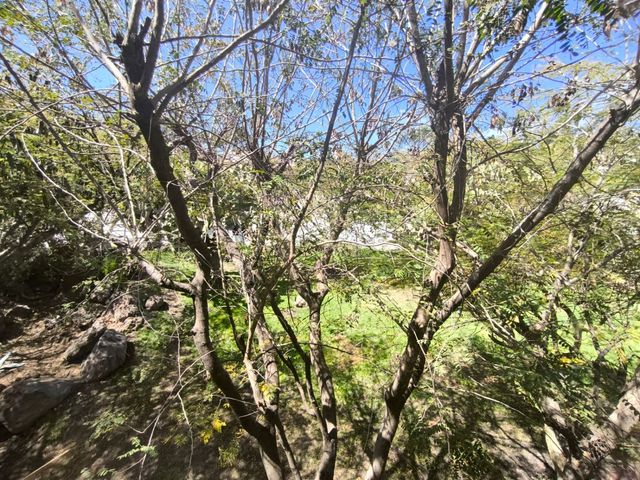 place photo 76