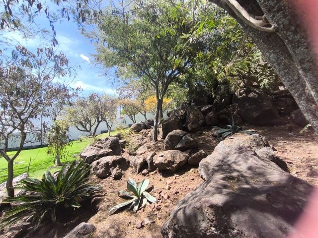 place photo 66