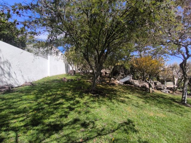 place photo 51