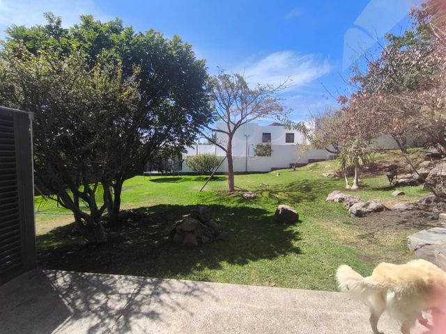 place photo 64