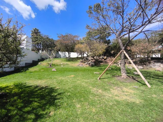 place photo 46