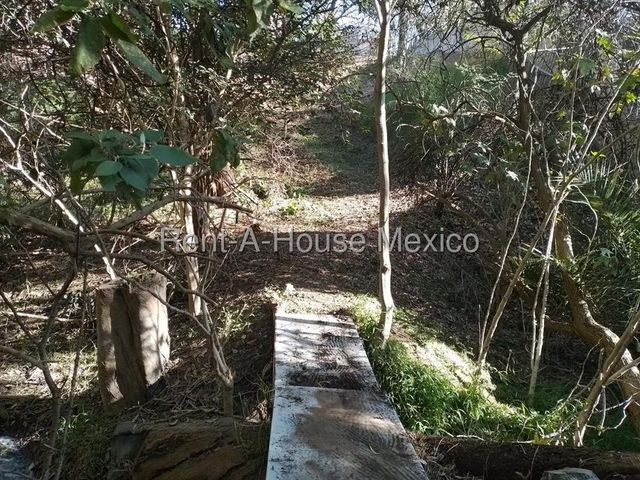 place photo 35