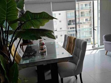 place photo 22