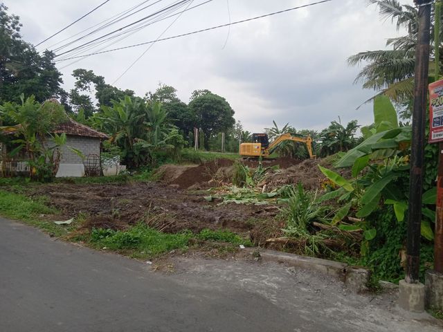 place photo 6