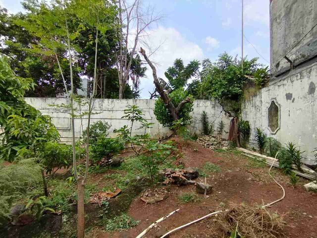 place photo 15