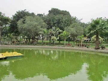 place photo 18